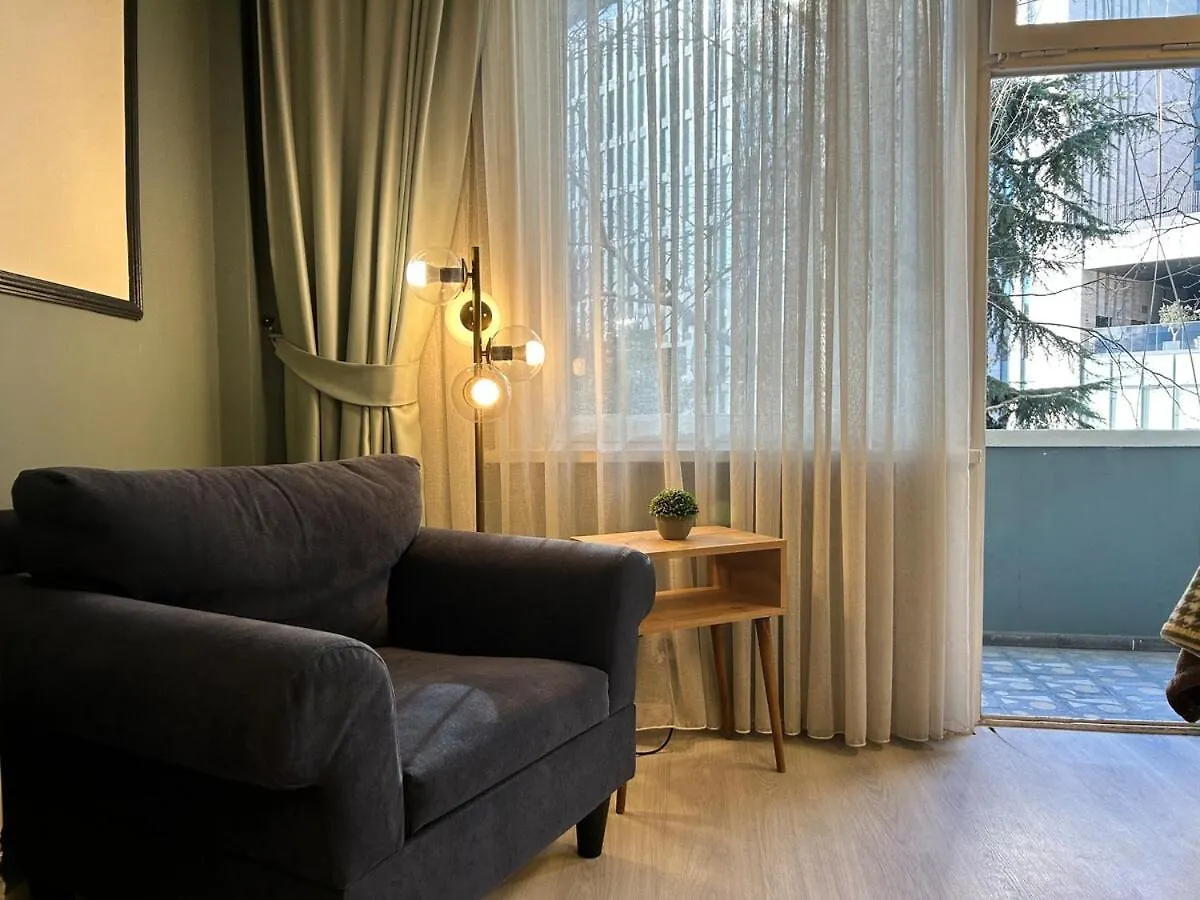 Elegant And Cozy 2Br With Balcony Near Taksim Apartment Istanbul Turcia
